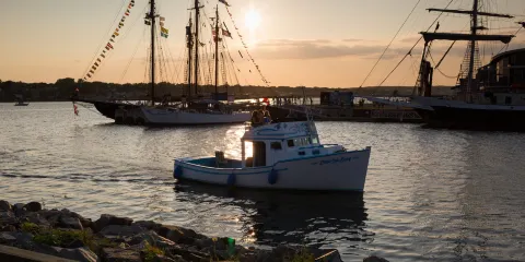 Sydney Downtown Development Association