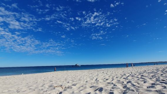 Hillarys