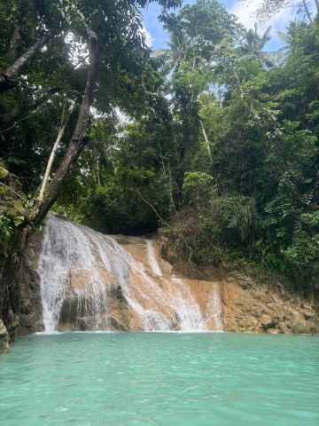 Dimiao