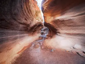 Barranco de Las Vacas