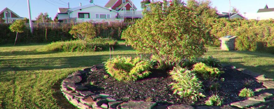Veterans Memorial Park