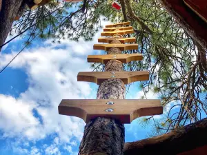Treehouse Adventure Park