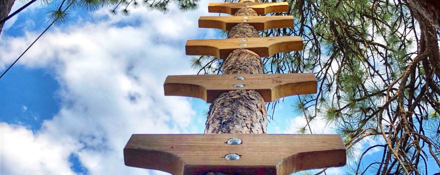 Treehouse Adventure Park