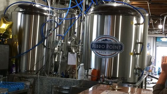 Pedro Point Brewing