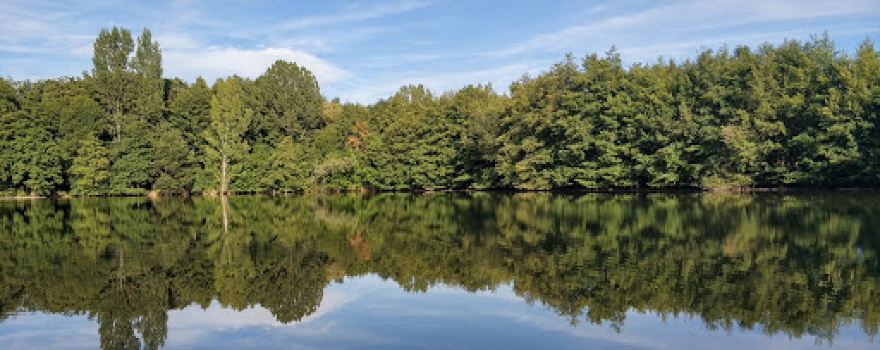 Les Fées du Moulin