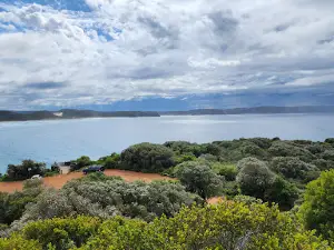 Lions Lookout