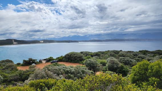 Lions Lookout