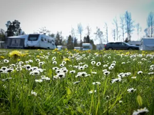 Stenrösets camping