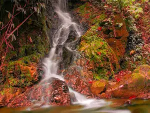 Air Terjun Simpang