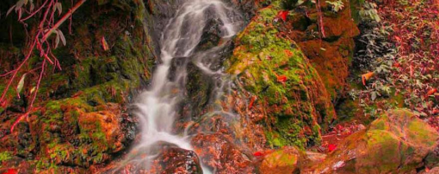 Air Terjun Simpang