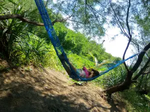 Wana Tirta Mangrove Forests