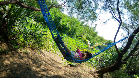Wana Tirta Mangrove Forests