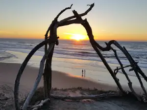 San Gregorio State Beach