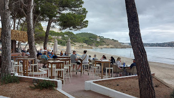 TEN Club Mallorca