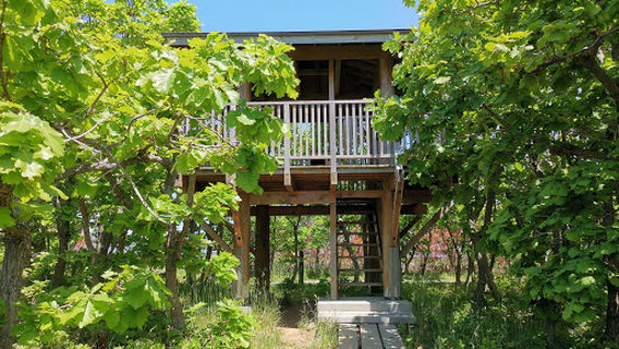 Bense-shitsugen Marsh