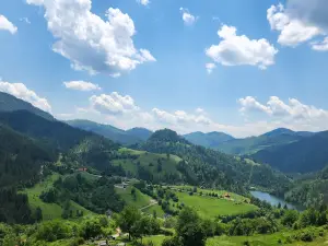 Prirodni Rezervat Tara