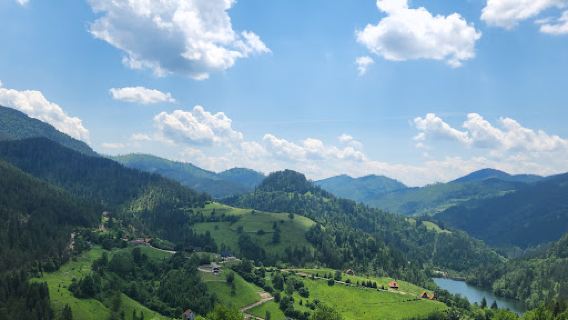 Prirodni Rezervat Tara
