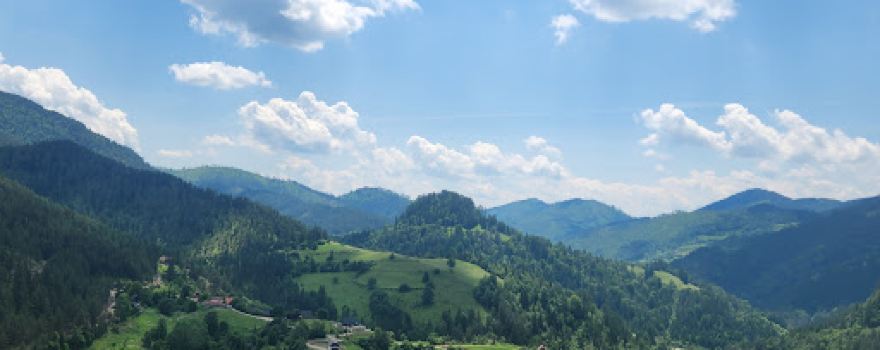 Prirodni Rezervat Tara