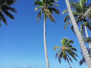 Dermaga Dulupi
