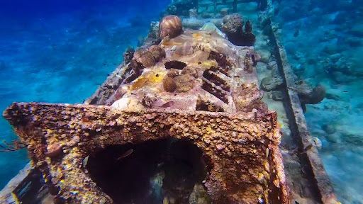 Budget Boat Trips