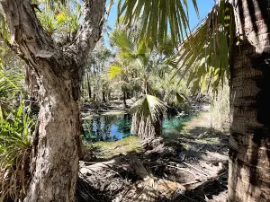 Mataranka Hot springs