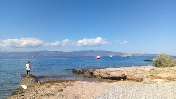 Hydra