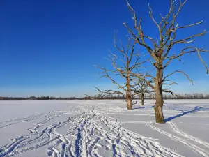 Aussichtspunkt Fleethof