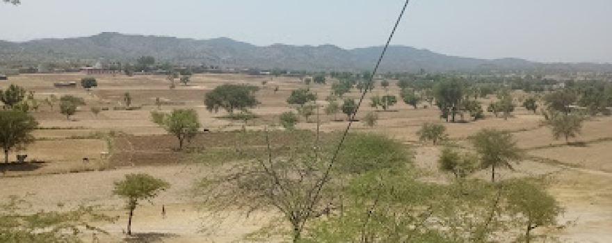 ڈھوک راجگان
