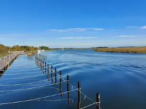 Hafen Zingst