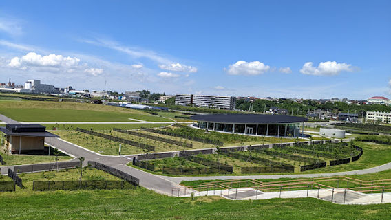 Ishinomaki Minamihama Tsunami Memorial Park