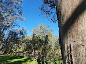 Condobolin Swimming Pool
