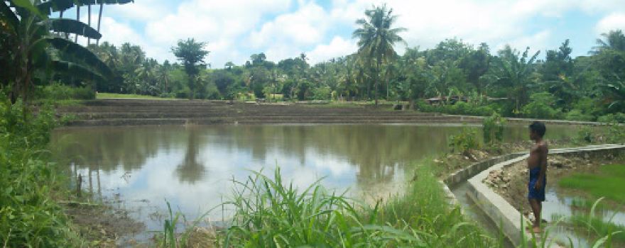Lapangan Moina