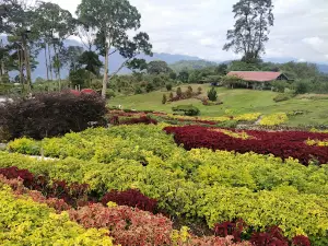 Taman Bunga Puncak Tonang