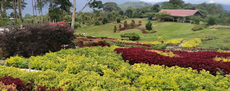 Taman Bunga Puncak Tonang