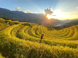 Móng ngựa Mù Cang Chải