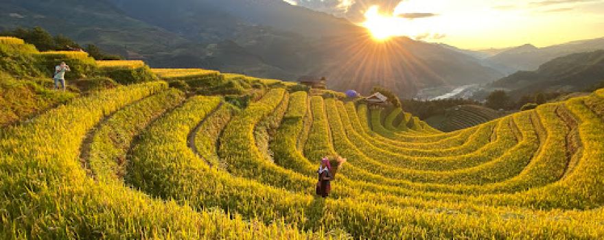 Móng ngựa Mù Cang Chải