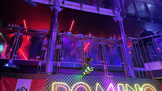 Domino Megadisco