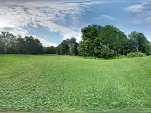Wesley Woods Inc.