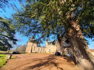 Château de Bresse-sur-Grosne