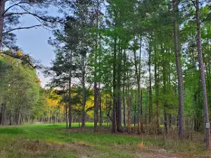 Tuckahoe Wildlife Management Area