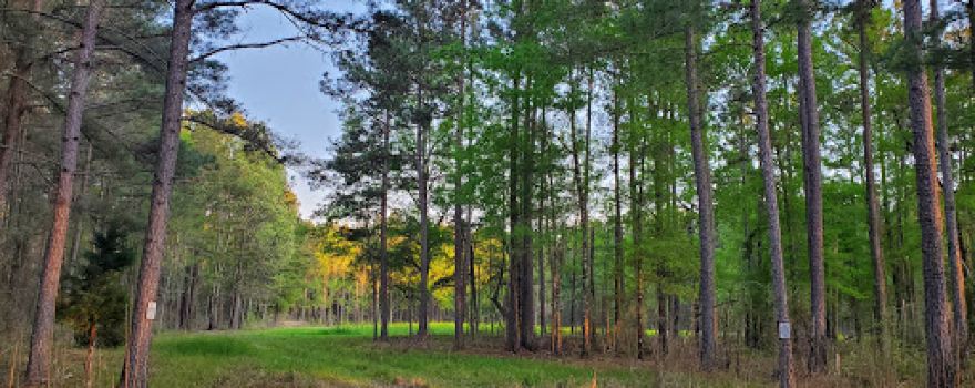 Tuckahoe Wildlife Management Area
