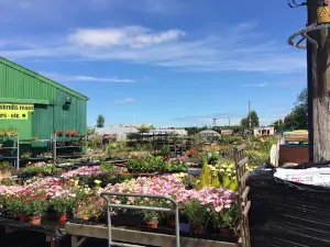 Longbeck Nurseries