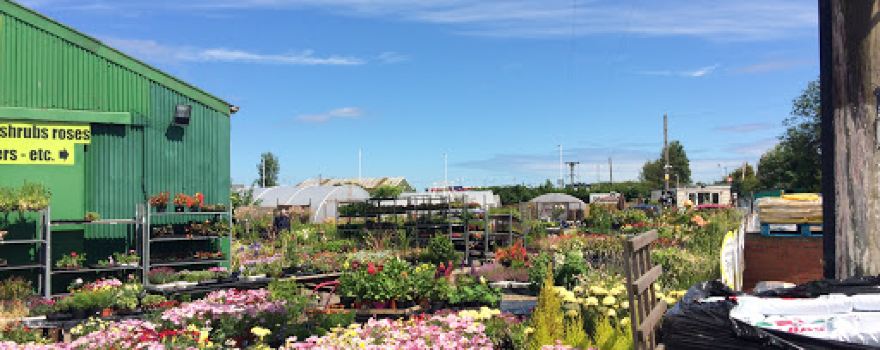 Longbeck Nurseries