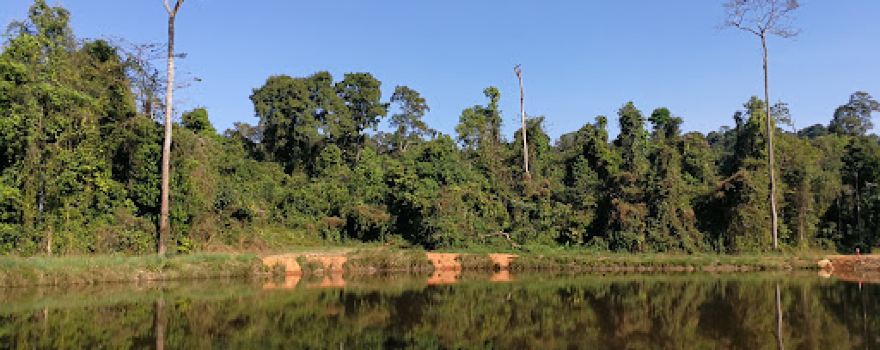 Chom Tawan Cliff ผาชมตะวัน