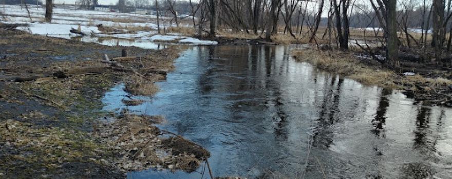 MNDNR South Branch of the Vermillion River State Aquatic Management Area (AMA)