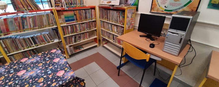 Perpustakaan Desa Teluk Sentang (Temerloh)