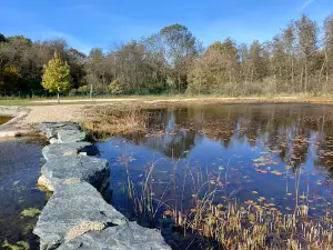 Wassererlebniswelt Südburgenland