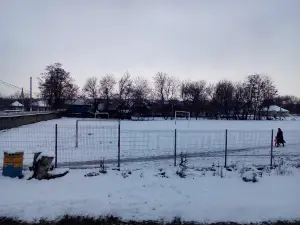 Stadion Cosăuţi
