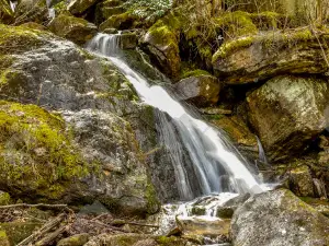 Bent Run Waterfall