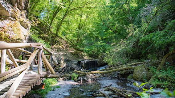 Traumschleife „Ehrbachklamm“